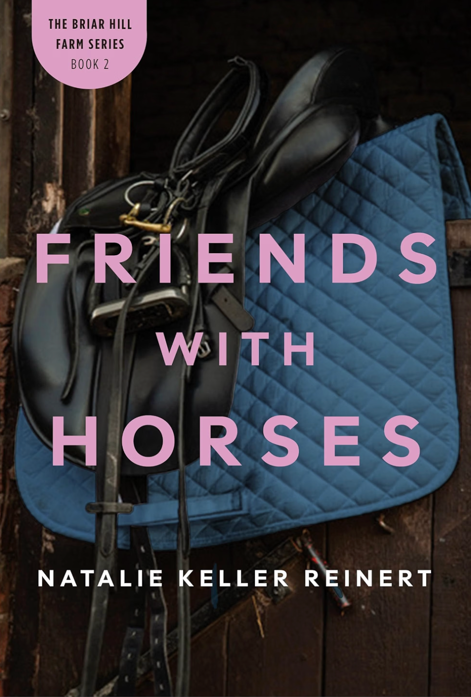 Friends With Horses (Briar Hill Farm: Book Two) Paperback