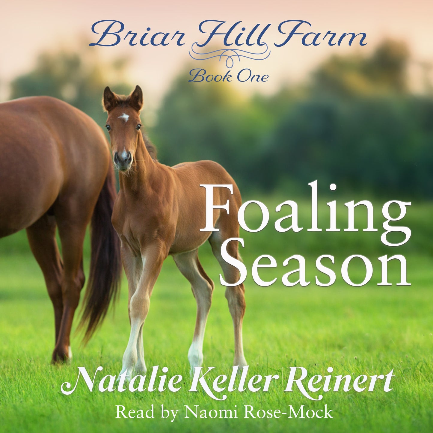 Foaling Season (Briar Hill Farm: Book One)