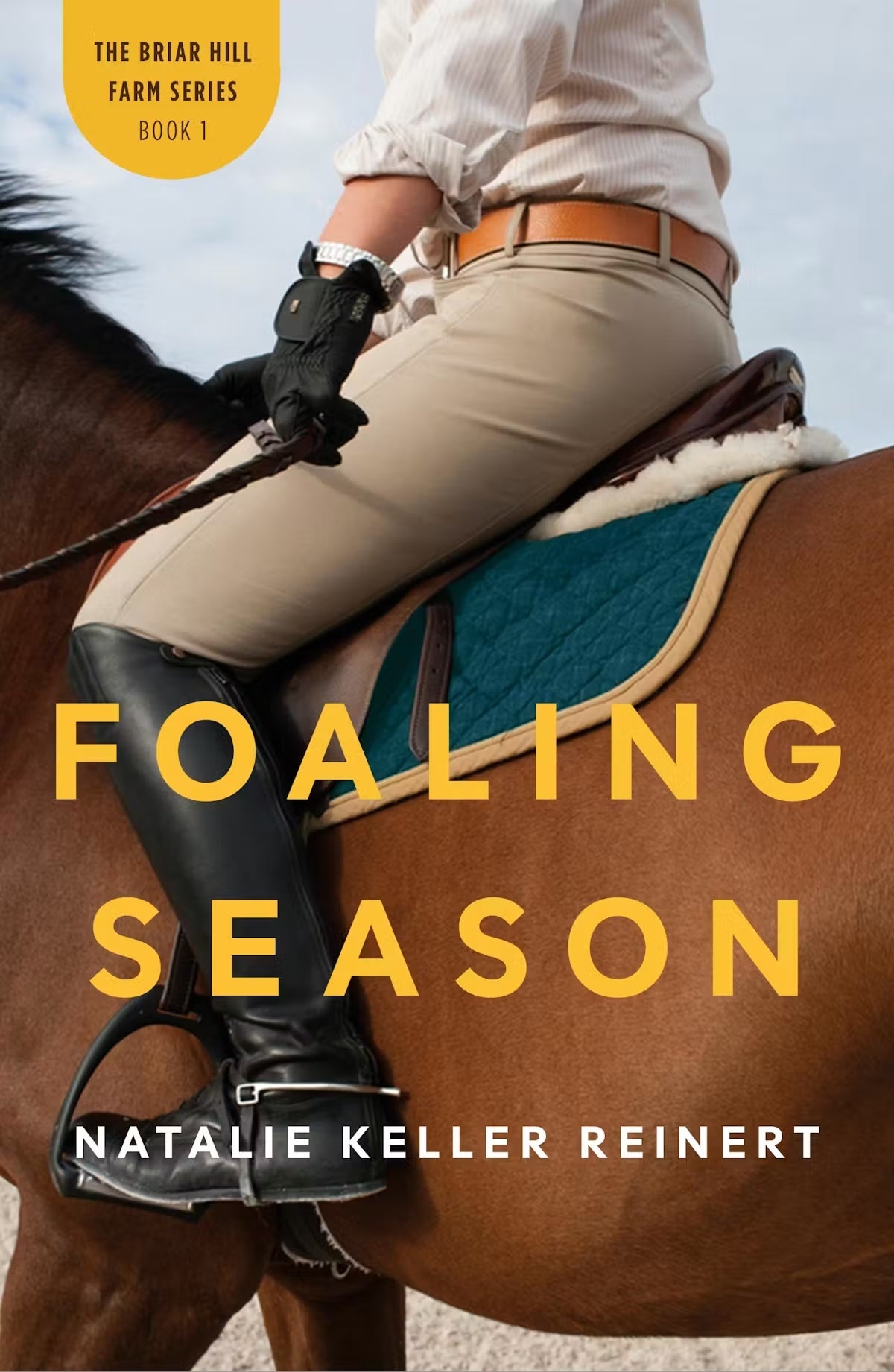 Foaling Season (Briar Hill Farm: Book One) Paperback