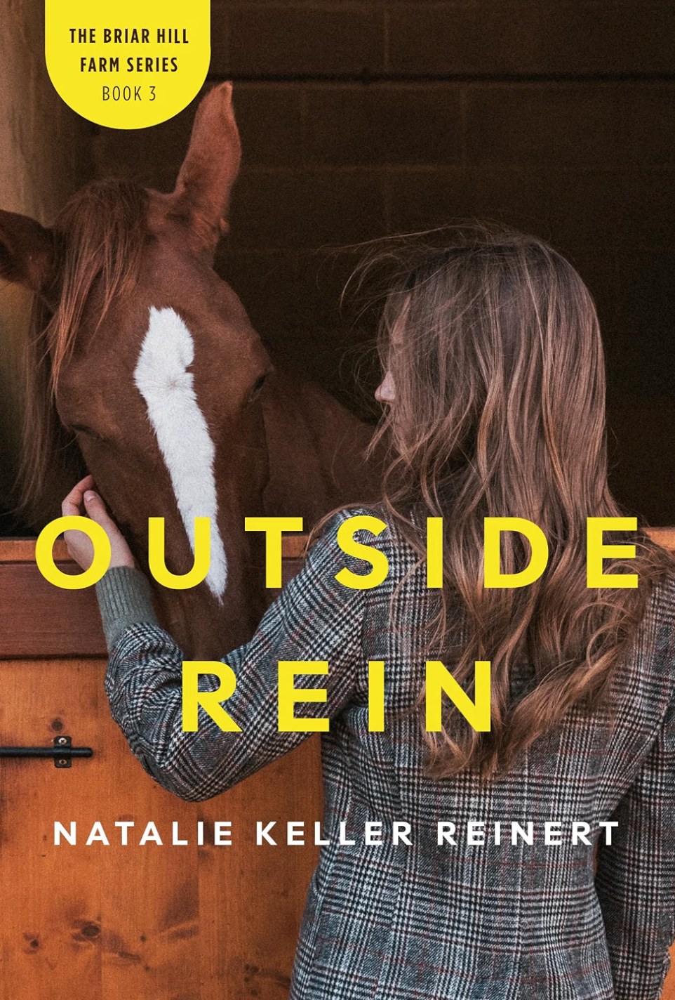 Outside Rein (Briar Hill Farm: Book Three) Paperback